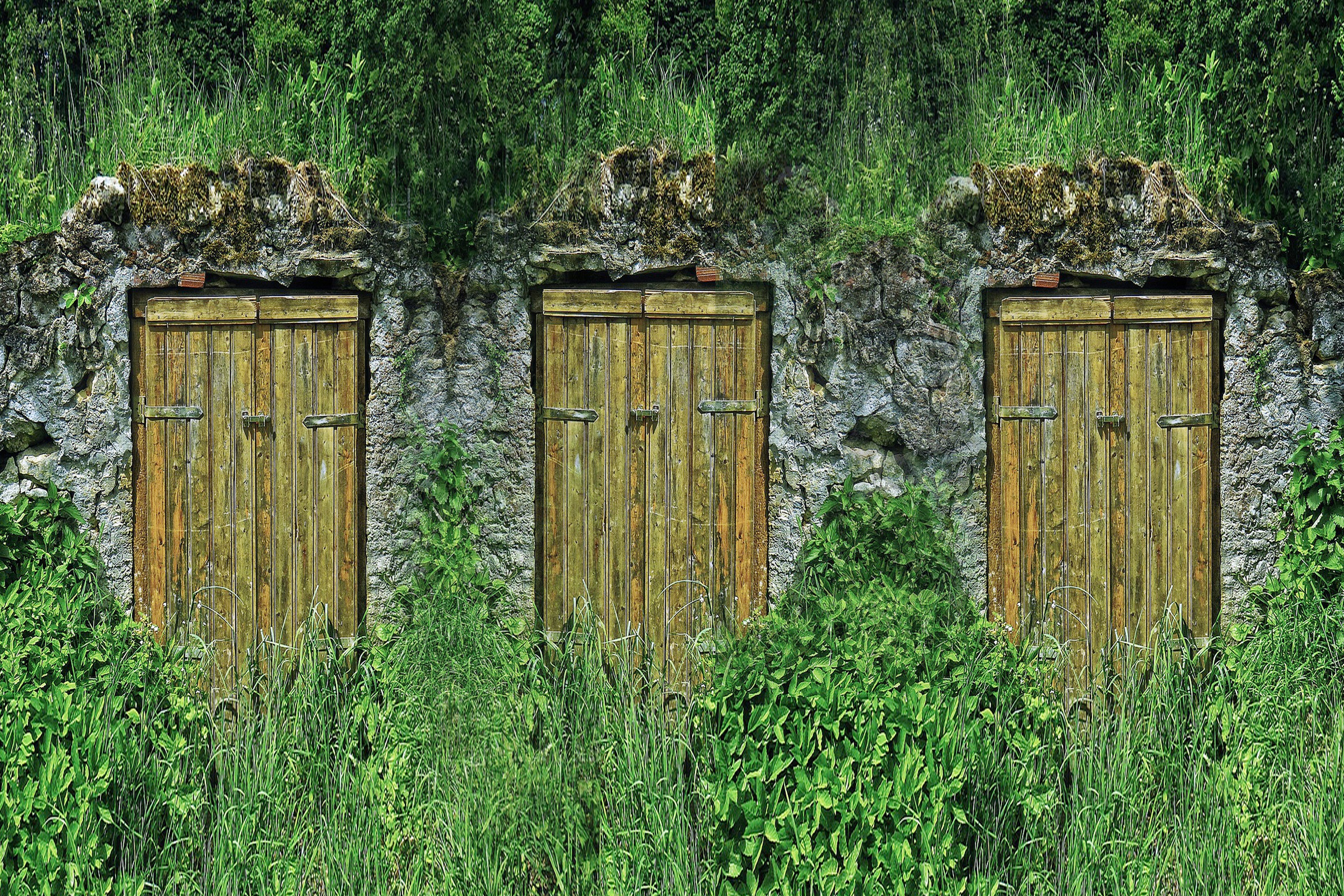 career-clarity-doors-natural Career Clarity